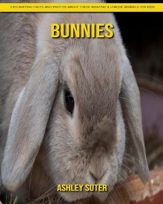 Book cover for Bunnies