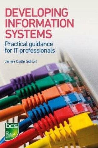 Cover of Developing Information Systems