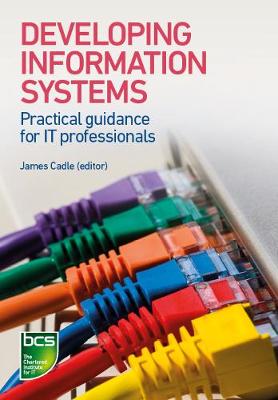 Book cover for Developing Information Systems