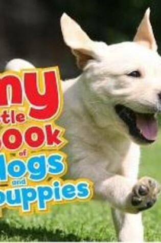 Cover of My Little Book of Dogs and Puppies