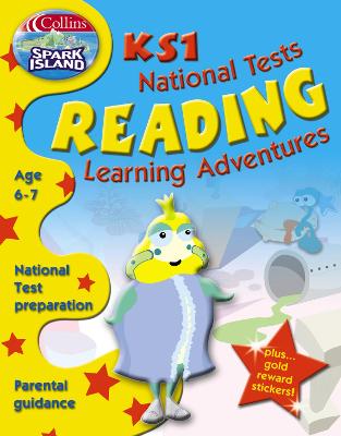 Book cover for Key Stage 1 National Tests Reading