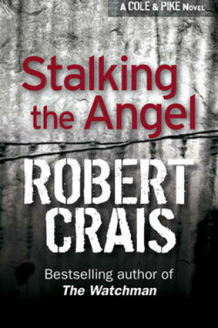 Cover of Stalking The Angel