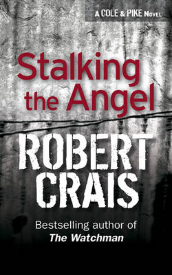 Book cover for Stalking The Angel