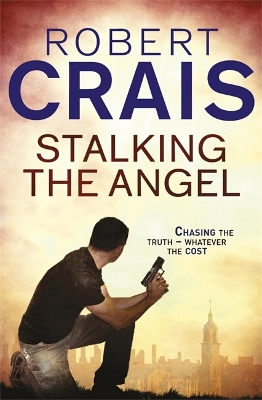 Book cover for Stalking The Angel