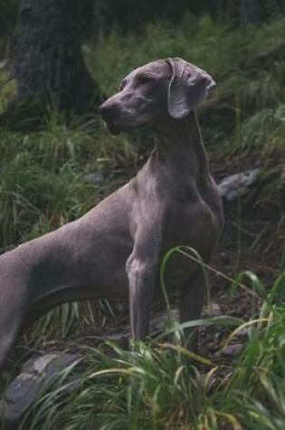 Cover of Weimaraner on a Hillside Journal