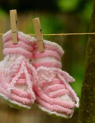 Book cover for Jumbo Oversized Newborn Pink Baby Shoes on a Clothesline