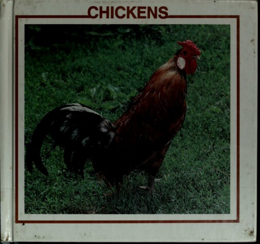 Cover of Chickens