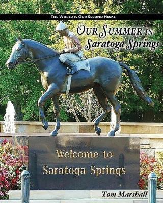 Book cover for Our Summer in Saratoga Springs