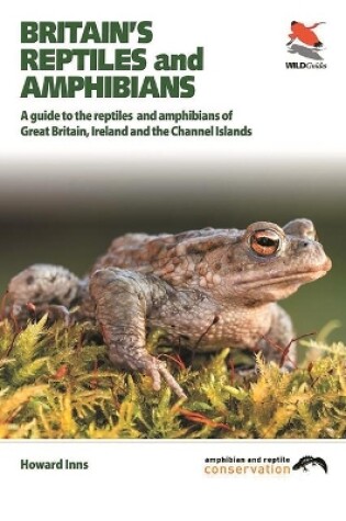 Cover of Britain`s Reptiles and Amphibians