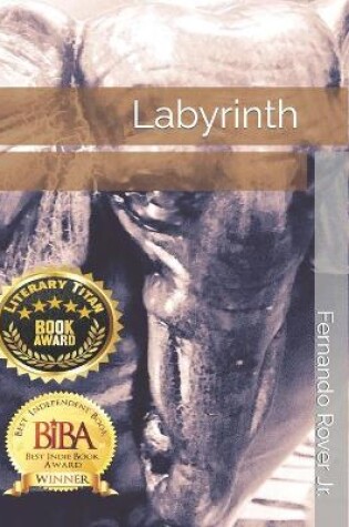 Cover of Labyrinth