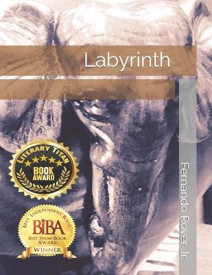 Cover of Labyrinth