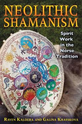 Cover of Neolithic Shamanism