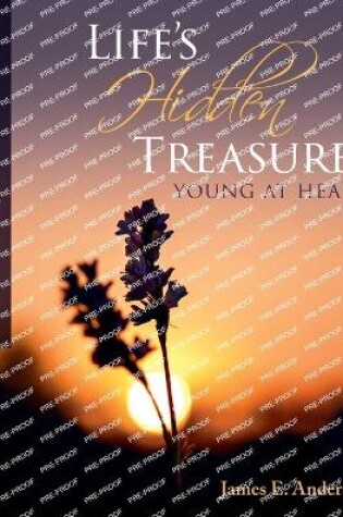 Cover of Life's Hidden Treasures