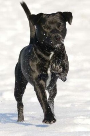 Cover of Patterdale Terrier Running in the Snow Journal