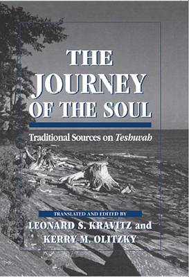 Book cover for The Journey of the Soul