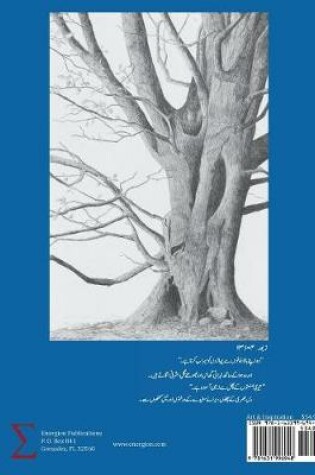 Cover of Reflections on Scripture, Dandelions, and Sparrows (Urdu Edition)