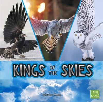 Book cover for Animal Rulers Kings of the Skies