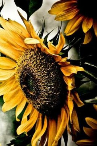 Cover of Sunflower