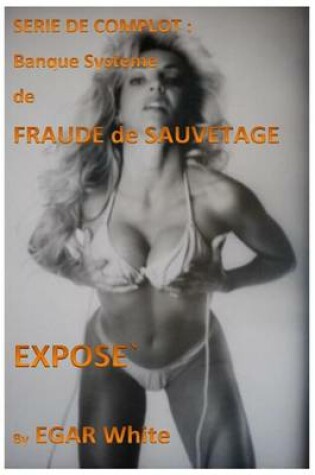 Cover of Serie de Complot Banque Systeme de Fraude de Sauvetage