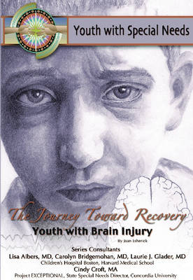Cover of The Journey Toward Recovery