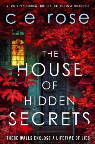 Cover of The House of Hidden Secrets