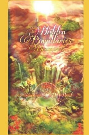 Cover of Hidden Boundaries