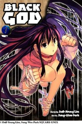 Cover of Black God: Vol 1