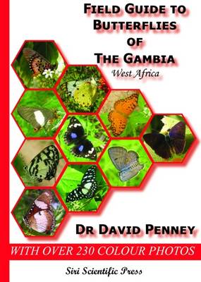 Book cover for Field Guide to Butterflies of the Gambia, West Africa