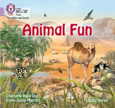 Book cover for Animal Fun