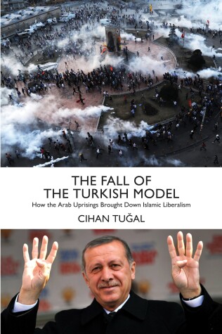Cover of The Fall of the Turkish Model