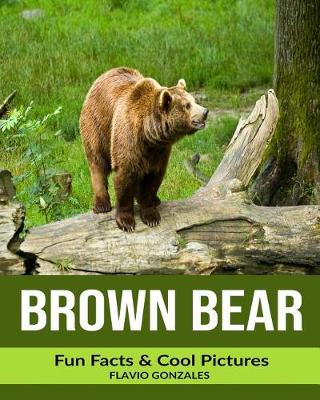 Book cover for Brown Bear