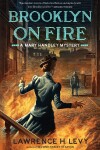 Book cover for Brooklyn on Fire