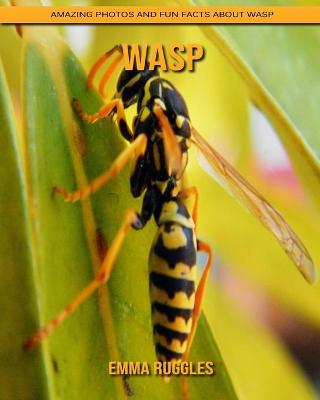 Book cover for Wasp