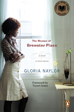 Cover of The Women of Brewster Place