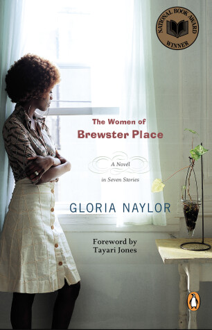 Book cover for The Women of Brewster Place