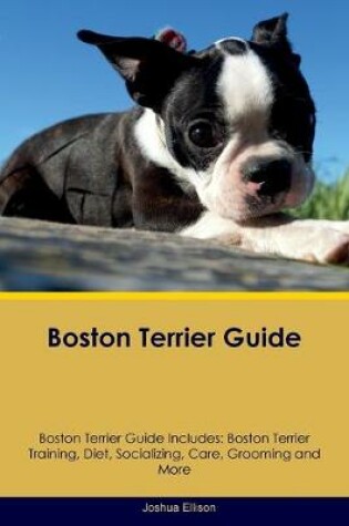 Cover of Boston Terrier Guide Boston Terrier Guide Includes