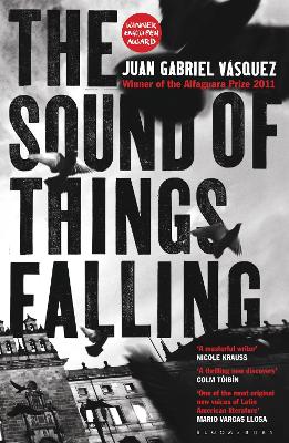 Book cover for The Sound of Things Falling