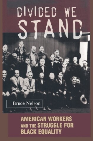 Cover of Divided We Stand