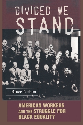 Book cover for Divided We Stand
