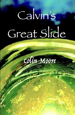 Book cover for Calvin's Great Slide