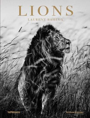 Cover of Lions