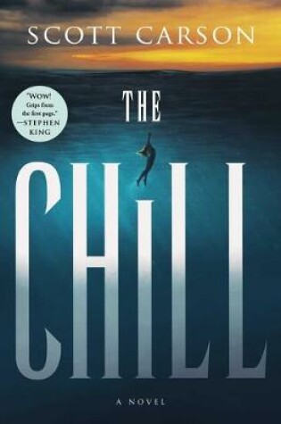 Cover of The Chill