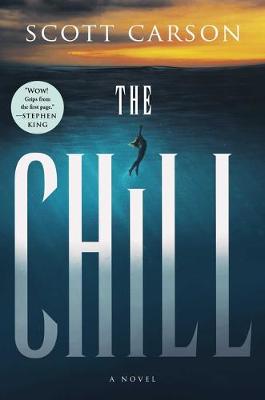 Book cover for The Chill