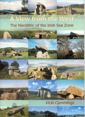 Book cover for A View from the West