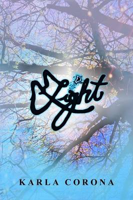 Book cover for Light