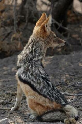 Cover of Black-Backed Jackal Animal Journal