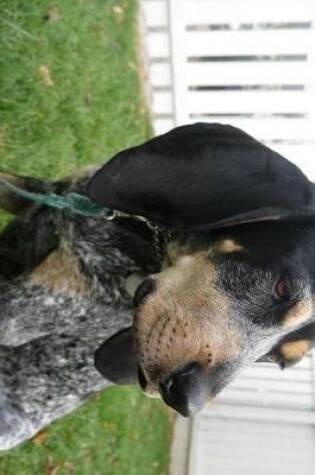 Cover of Bluetick Coonhound Dog Profile Journal