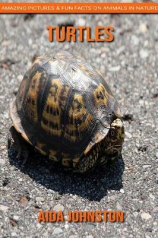 Cover of Turtles