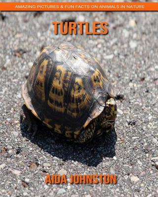 Book cover for Turtles