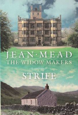 Book cover for Strife - The Widow Makers